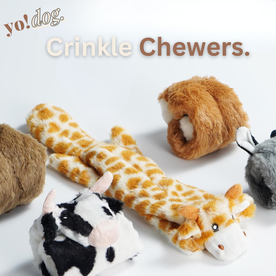 yo!Dog Assorted Crinkle Chewers