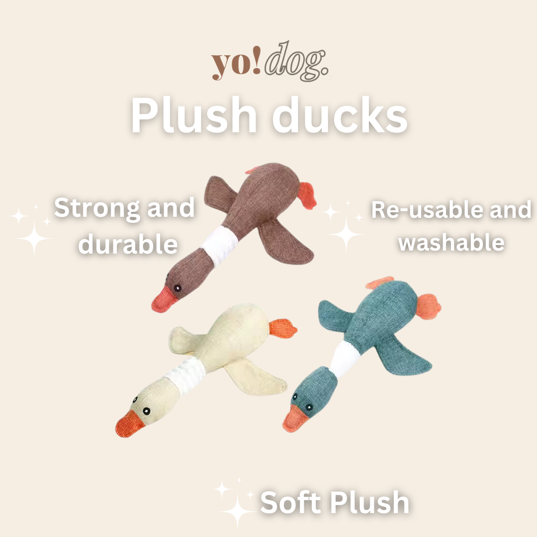 yo!dog. plush ducks