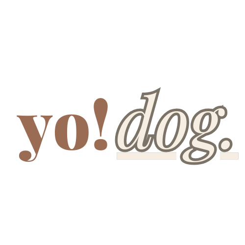 yo!Dog.